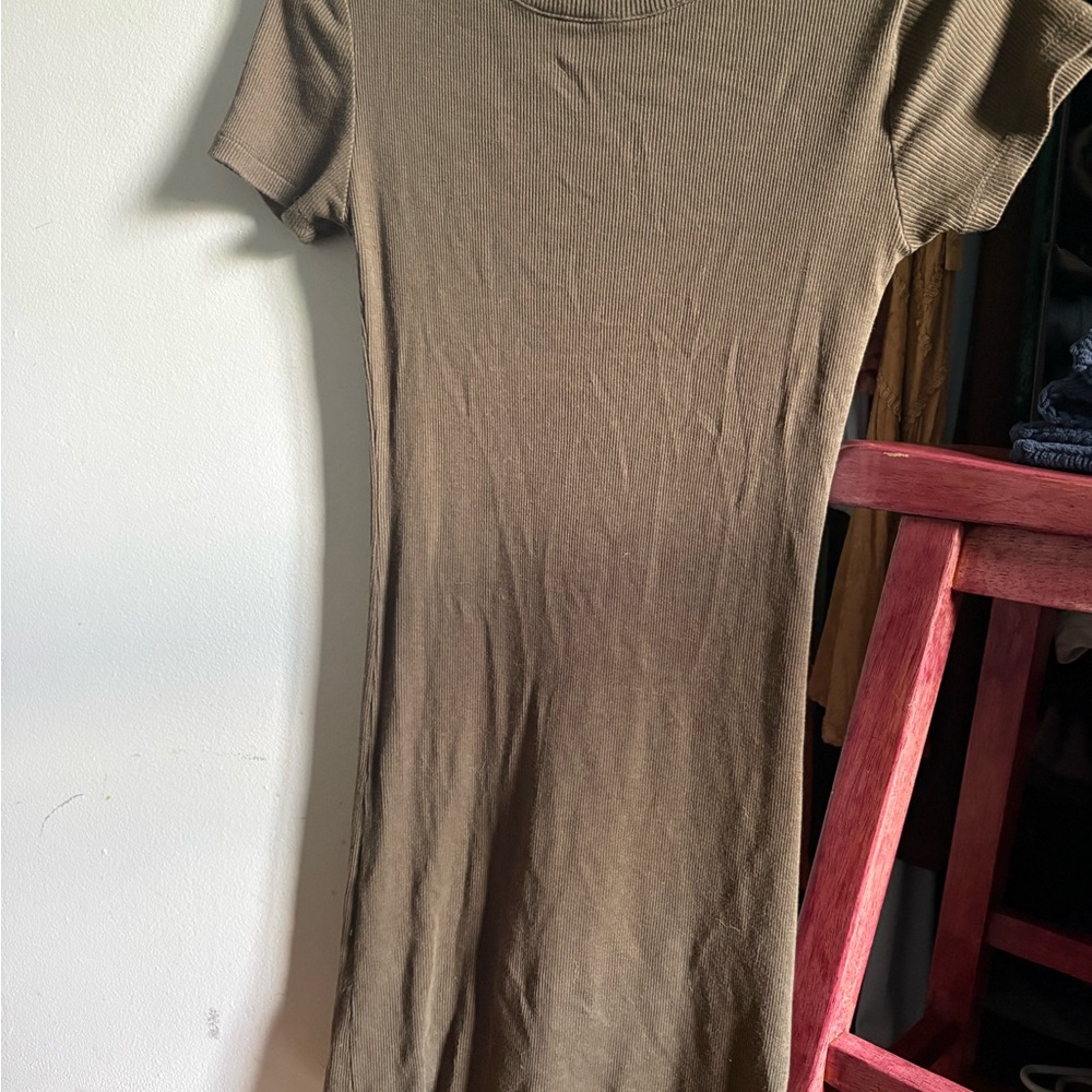 Women's Olive Short Sleeve Ribbed Knit Top